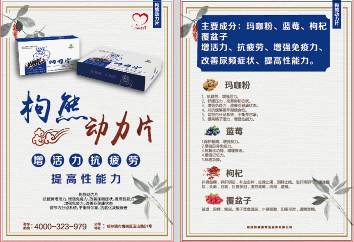 狗熊动力片.jpg